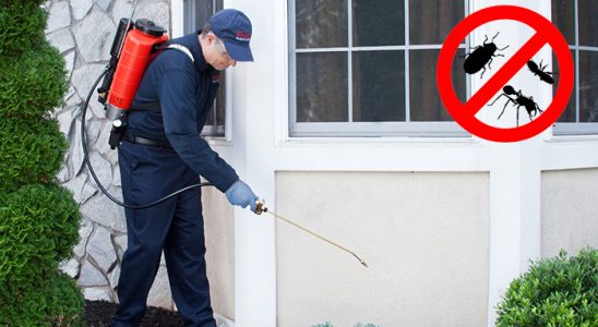 Kurşunlu Akrep İlaçlama böcek ilaçlama ve haşere kontrolü — ilaclama-tr.com